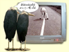 verarschen.jpg, 25 KB
